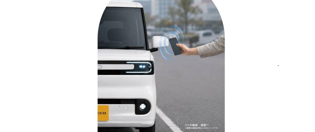 BYDラッコ（RACCO）価格